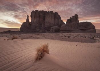 Algeria adopts draft law on mobilization in accordance with constitution – ConstitutionNet