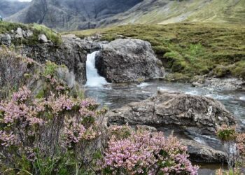 Scotland feeds Ireland with the wooden spoon in a surprise victory – Athlon Sports