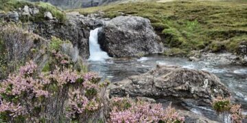 Scotland feeds Ireland with the wooden spoon in a surprise victory – Athlon Sports