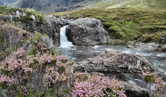 Scotland feeds Ireland with the wooden spoon in a surprise victory – Athlon Sports