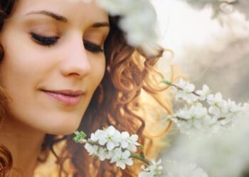 Canada, France, UK, Australia, Germany, Norway, Ireland, and Netherlands Slash Travel to the US as Political Turmoil and Economic Pressures Trigger Airline Recession and Domestic Tourism Cutbacks: New Report You Need to Know – Travel And Tour World