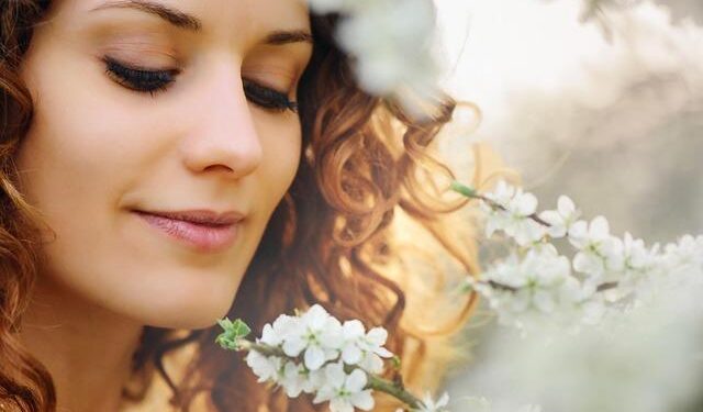 Canada, France, UK, Australia, Germany, Norway, Ireland, and Netherlands Slash Travel to the US as Political Turmoil and Economic Pressures Trigger Airline Recession and Domestic Tourism Cutbacks: New Report You Need to Know – Travel And Tour World