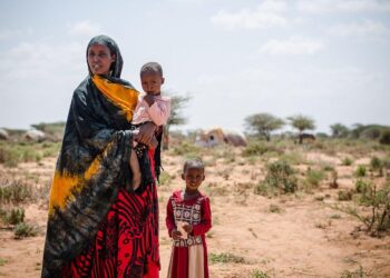 Somalia Offers US Exclusive Control Over Key Ports, But Somaliland Rejects – Marine Insight