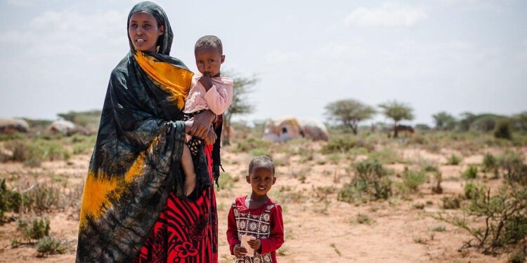 Somalia Offers US Exclusive Control Over Key Ports, But Somaliland Rejects – Marine Insight