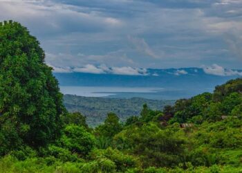 DR Congo crisis forces refugees to swim for their lives to Burundi – UN News