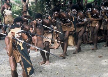 Solomon Islands traditional dolphin hunt video sparks debate over ancient practice – Australian Broadcasting Corporation