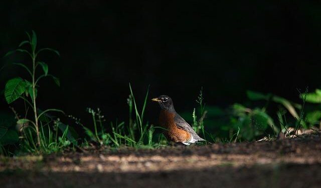 Why high-net-worth Americans are banking in Switzerland – Fast Company