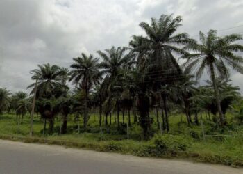 Location Announced for Eket Nigeria Temple – newsroom.churchofjesuschrist.org