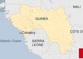 Guinea’s Cardinal Robert Sarah (C) is a traditionalist conservative – IslanderNews.com