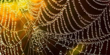 Unraveling the fragility trap in the Central African Republic civil war – World Bank Blogs