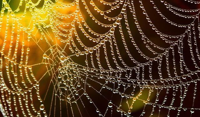 Unraveling the fragility trap in the Central African Republic civil war – World Bank Blogs