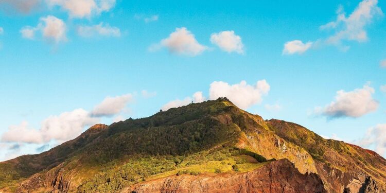 Pitcairn Acquires Brightside Partners and Launches $9 Billion RIA – Barron’s