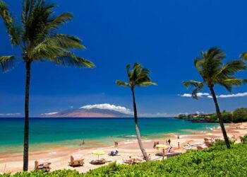 Maui canoe paddling official to join Hawaii Sports Officials Hall of Fame – mauinews.com