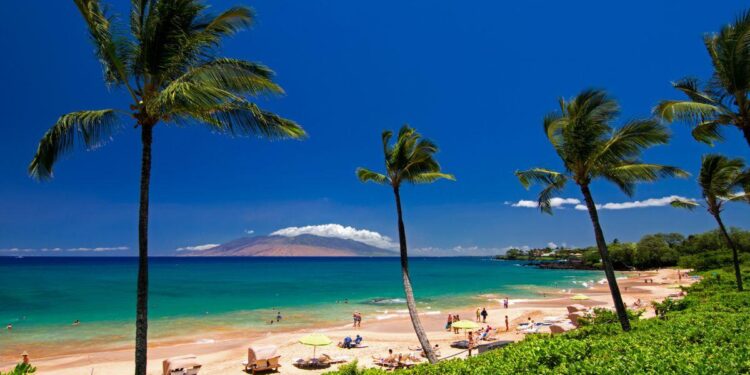 Maui canoe paddling official to join Hawaii Sports Officials Hall of Fame – mauinews.com