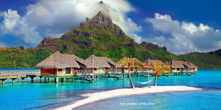 I visited Tahiti on the trail of an 18th-century literary celebrity – The Telegraph