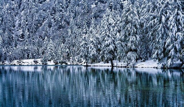 Switzerland seeks closer EU ties in response to Trump shock – Financial Times