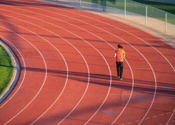 First fossil pangolin tracks discovered in South Africa – The Conversation