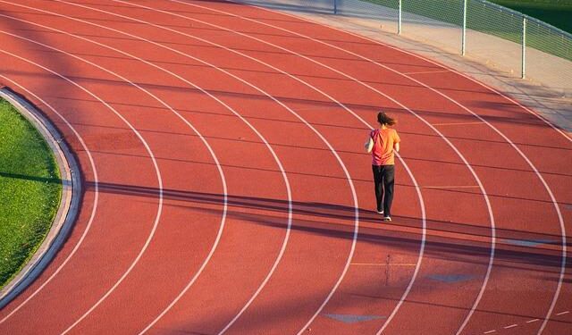 First fossil pangolin tracks discovered in South Africa – The Conversation