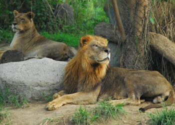 Ryan Keating Trial in Northern Cyprus Concludes With Fine for Illegal Storage of Bibles – Barnabas Aid