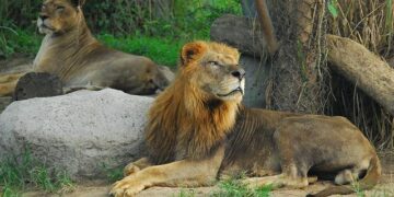 Ryan Keating Trial in Northern Cyprus Concludes With Fine for Illegal Storage of Bibles – Barnabas Aid