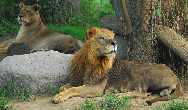 Ryan Keating Trial in Northern Cyprus Concludes With Fine for Illegal Storage of Bibles – Barnabas Aid