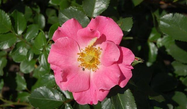 UNICEF in Senegal – unicef usa