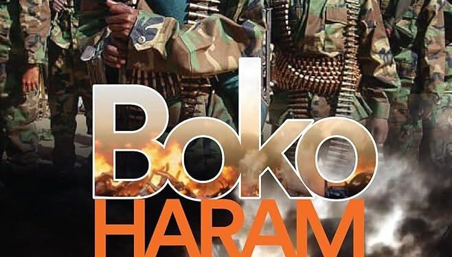 Boko Haram fighters kill 20 Cameroonian troops: sources – France 24