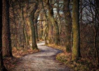 Federal Way eighth-grader eyes U-17 World Cup for Samoa – Federal Way Mirror