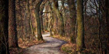 Federal Way eighth-grader eyes U-17 World Cup for Samoa – Federal Way Mirror