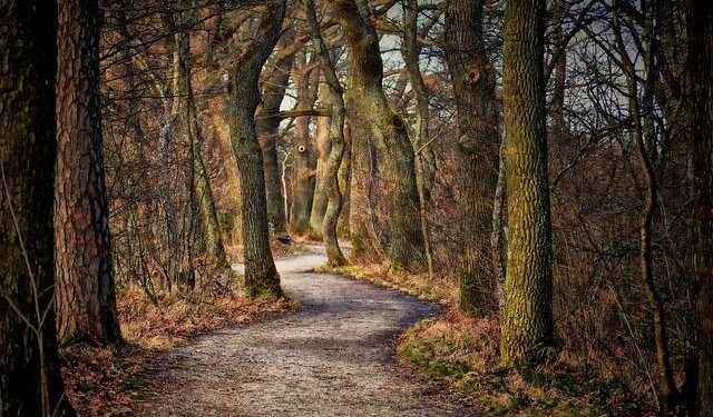 Federal Way eighth-grader eyes U-17 World Cup for Samoa – Federal Way Mirror