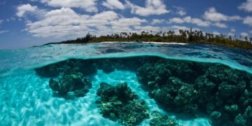 New Caledonia Congress elects pro-France president after political crisis – The Guardian