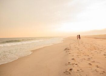 Asia-Pacific facing disruption of value chain – China Daily