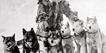 Togo May Join AES Block, Foreign Minister Says – Togo First