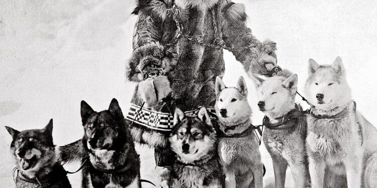 Togo May Join AES Block, Foreign Minister Says – Togo First