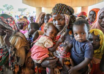 Sudan crisis: RSF paramilitaries declare rival government – BBC