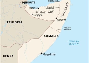 Somalia criticizes Foreign Diplomats over remarks on Somaliland elections – Hiiraan