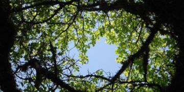 Poland, UK, Netherlands, Spain, Italy, Albania, Belgium and Bulgaria Capture the Spotlight as Europeans Travelers Seek Longer Vacations, Sustainable Getaways and Hidden Gem Experiences: New Report You Need to Know – Travel And Tour World