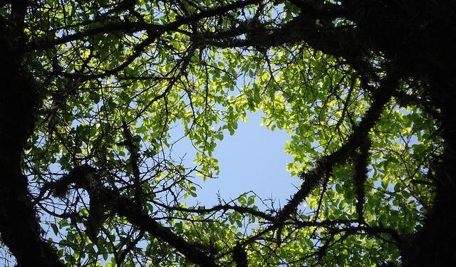 Poland, UK, Netherlands, Spain, Italy, Albania, Belgium and Bulgaria Capture the Spotlight as Europeans Travelers Seek Longer Vacations, Sustainable Getaways and Hidden Gem Experiences: New Report You Need to Know – Travel And Tour World