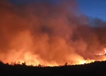 Large fires are burning on the slopes of South Africa’s famous Table Mountain – The Independent