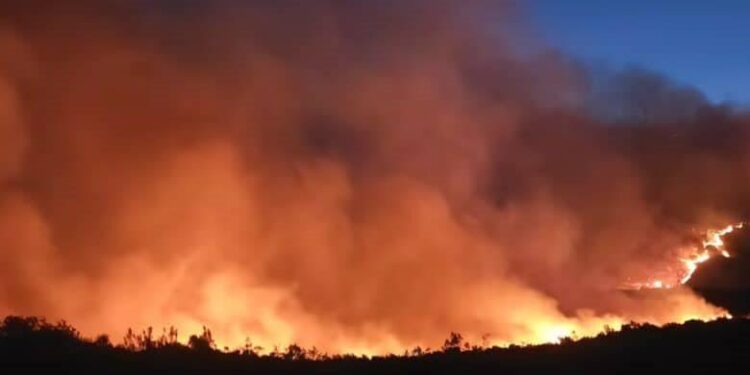 Large fires are burning on the slopes of South Africa’s famous Table Mountain – The Independent