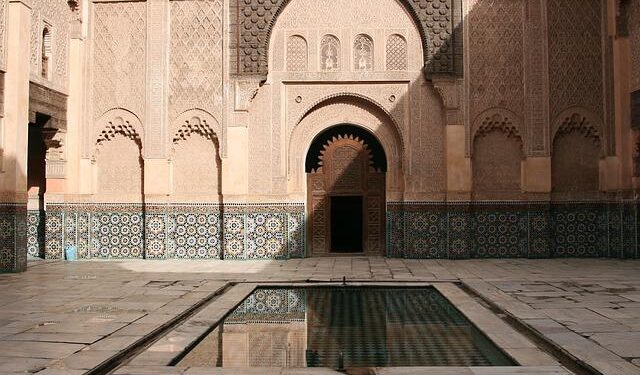 Morocco Enters Japan’s Market with First Citrus Shipment – EastFruit