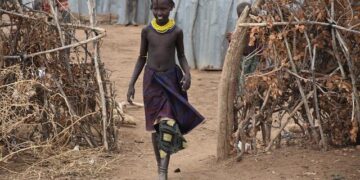 Potential Lessons Ethiopia Can Learn from DOGE’s Approach (Part One) – Capital Newspaper