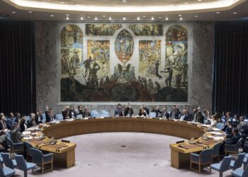 Remarks at a UN Security Council Briefing on the Central African Republic – United States Mission to the United Nations (.gov)