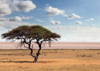 Botswana Seeks New Eskom Power Deal as Supply Crisis Deepens – Bloomberg.com