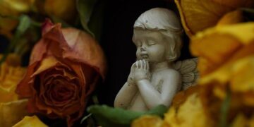 UB researchers travel to Easter Island to study the conservation state of the Moai statues after the fire of 2022 – Universitat de Barcelona