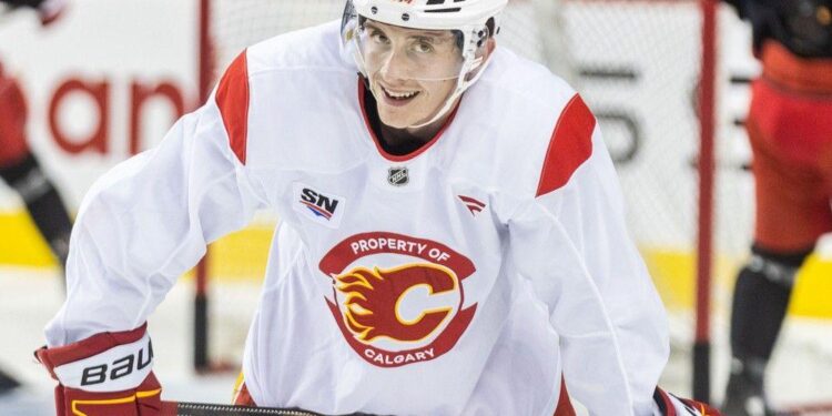 Honzek to play for Slovakia at World Championships – Calgary Herald