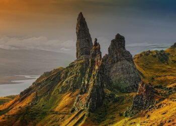 10-cap Scotland international joins England coaching group for summer tour – The Scotsman