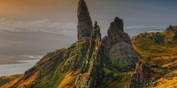 10-cap Scotland international joins England coaching group for summer tour – The Scotsman