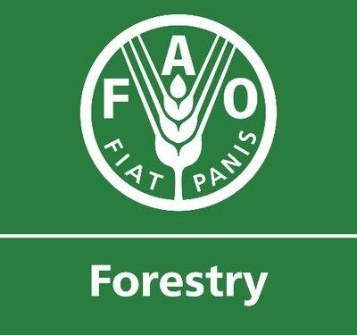 FAO and the Food and Veterinary Agency of North Macedonia promote Codex standards – Food and Agriculture Organization