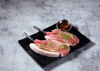 U.S. Approves $2.19 Billion Sale of 175 Tomahawk Naval Cruise Missiles to Netherlands Navy – Army Recognition